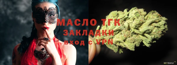 стаф Арсеньев