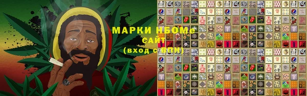 PSILOCYBIN Армянск