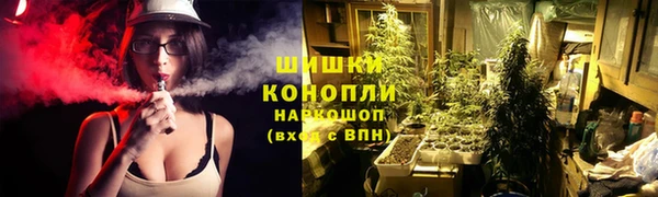 стаф Арсеньев