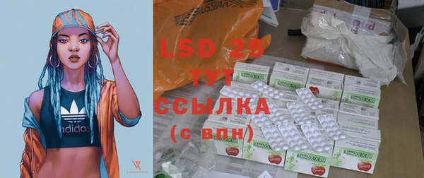 PSILOCYBIN Армянск